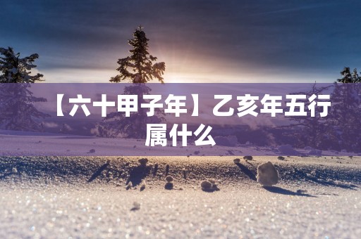 【六十甲子年】乙亥年五行属什么