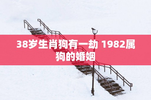 38岁生肖狗有一劫 1982属狗的婚姻