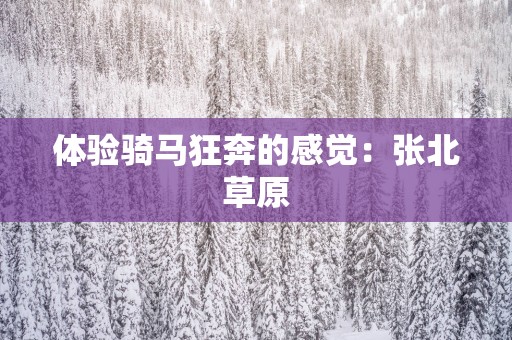体验骑马狂奔的感觉：张北草原