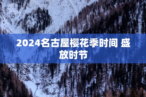 2025名古屋樱花季时间 盛放时节
