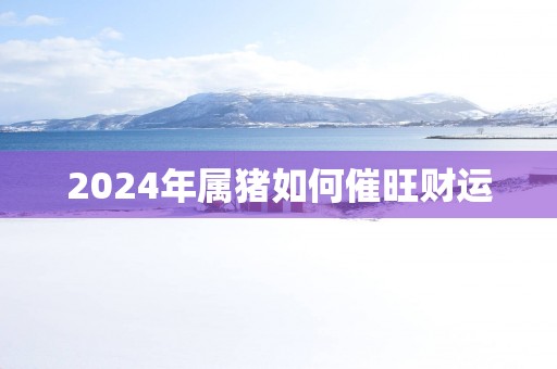 2025年属猪如何催旺财运