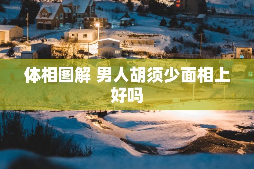 体相图解 男人胡须少面相上好吗