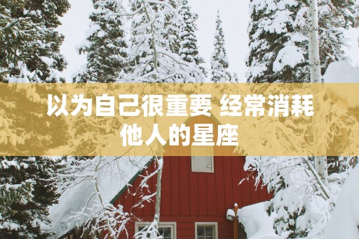 以为自己很重要 经常消耗他人的星座 以为自己很重要 经常消耗他人的星座