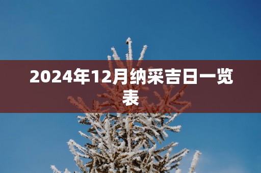 2024年12月纳采吉日一览表