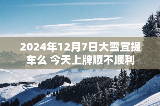 2024年12月7日大雪宜提车么 今天上牌顺不顺利