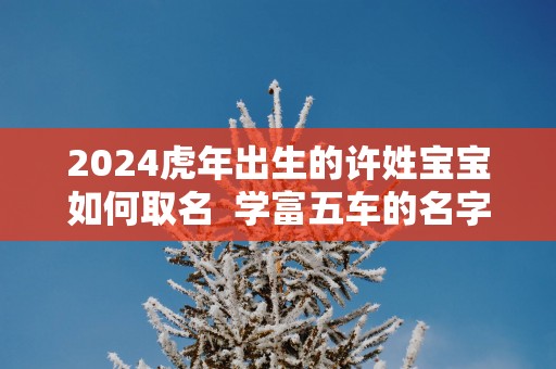 2025蛇年出生的许姓宝宝如何取名  学富五车的名字