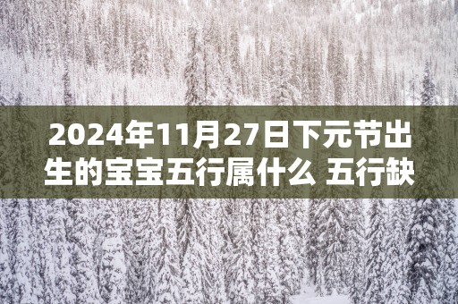 2025年11月27日下元节出生的宝宝五行属什么 五行缺什么