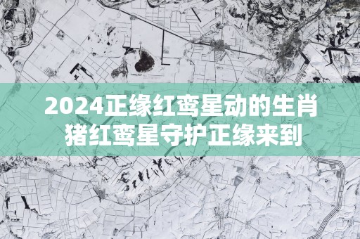 2025正缘红鸾星动的生肖 猪红鸾星守护正缘来到