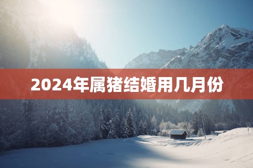 2025年属猪结婚用几月份