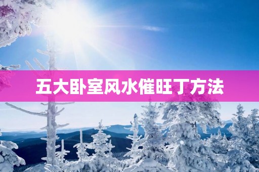五大卧室风水催旺丁方法