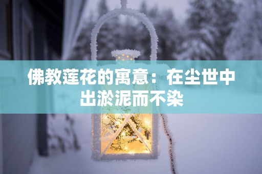 佛教莲花的寓意：在尘世中出淤泥而不染