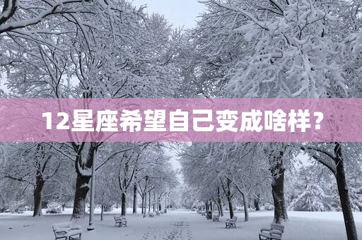 12星座希望自己变成啥样？