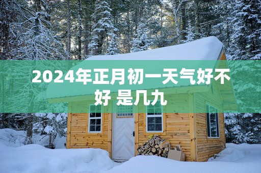 2025年正月初一天气好不好 是几九