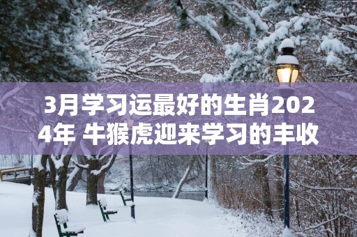 3月学习运最好的生肖2025年 牛猴虎迎来学习的丰收