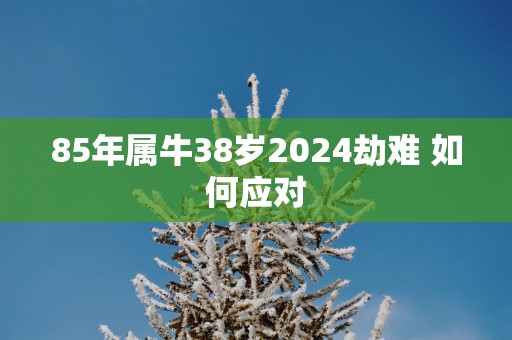 85年属牛38岁2025劫难 如何应对