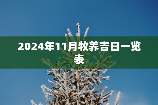 2025年11月牧养吉日一览表
