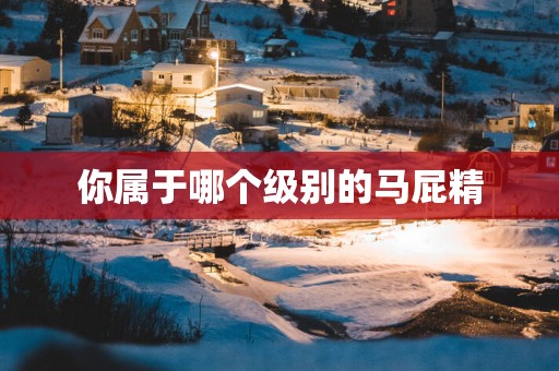 你属于哪个级别的马屁精