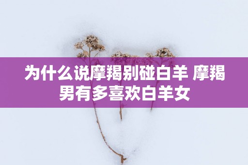为什么说摩羯别碰白羊 摩羯男有多喜欢白羊女