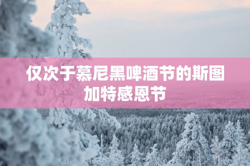 仅次于慕尼黑啤酒节的斯图加特感恩节