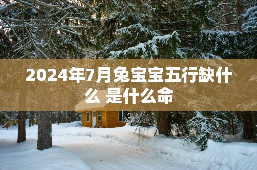 2025年7月兔宝宝五行缺什么 是什么命
