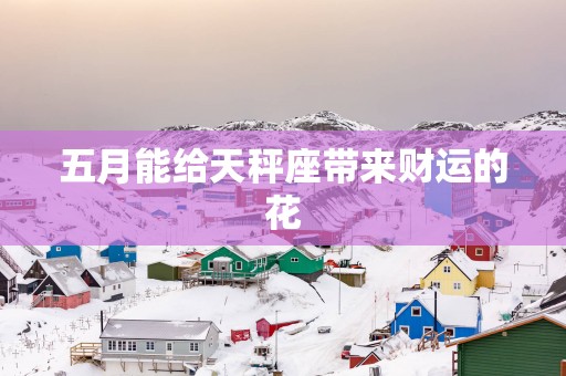 五月能给天秤座带来财运的花