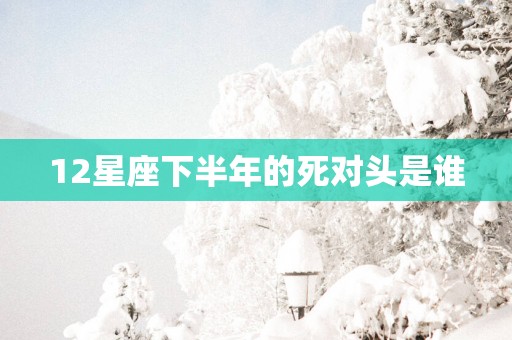 12星座下半年的死对头是谁