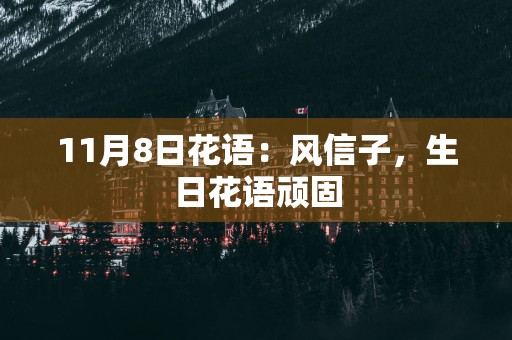 11月8日花语：风信子，生日花语顽固