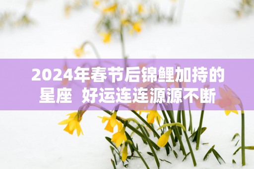 2025年春节后锦鲤加持的星座  好运连连源源不断