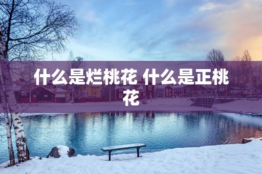 什么是烂桃花 什么是正桃花