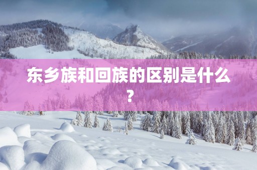 东乡族和回族的区别是什么？