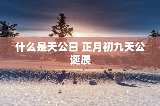什么是天公日 正月初九天公诞辰