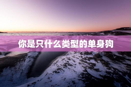 你是只什么类型的单身狗