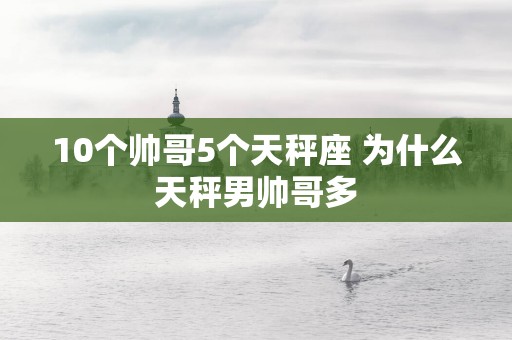10个帅哥5个天秤座 为什么天秤男帅哥多