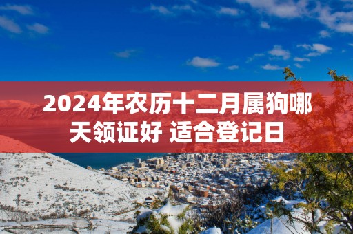 2025年农历十二月属狗哪天领证好 适合登记日