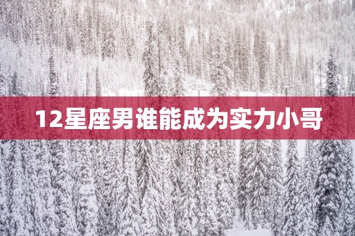 12星座男谁能成为实力小哥