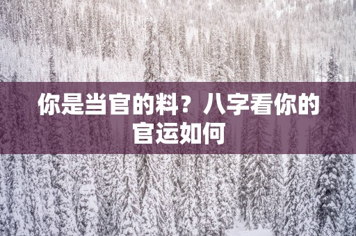 你是当官的料？八字看你的官运如何