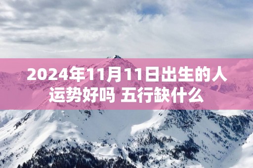 2025年11月11日出生的人运势好吗 五行缺什么