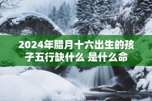 2025年腊月十六出生的孩子五行缺什么 是什么命