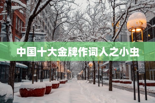 中国十大金牌作词人之小虫