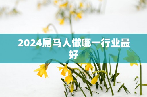 2025属马人做哪一行业最好