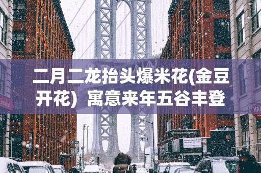 二月二龙抬头爆米花(金豆开花)  寓意来年五谷丰登