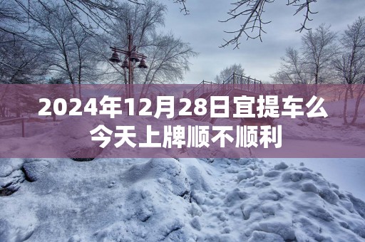 2025年12月28日宜提车么 今天上牌顺不顺利