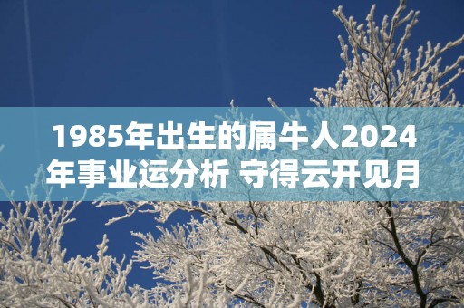 1985年出生的属牛人2025年事业运分析 守得云开见月明
