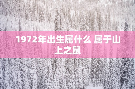 1972年出生属什么 属于山上之鼠