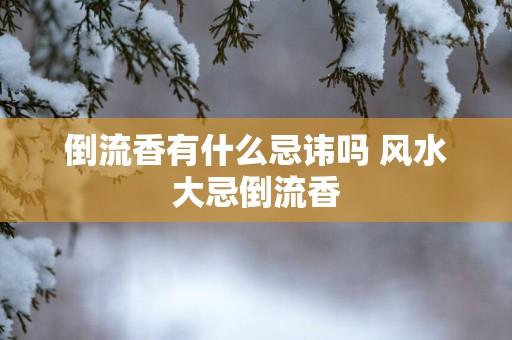 倒流香有什么忌讳吗 风水大忌倒流香