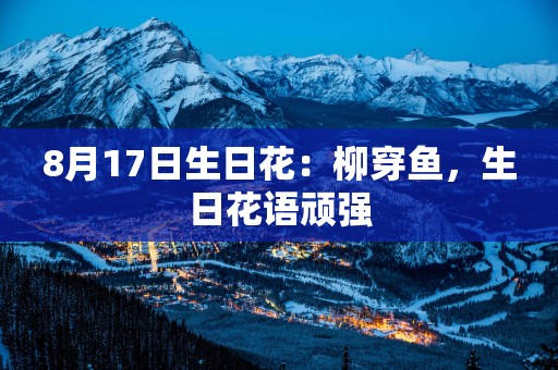 8月17日生日花：柳穿鱼，生日花语顽强