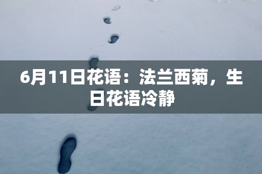 6月11日花语：法兰西菊，生日花语冷静