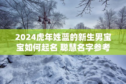 2025蛇年姓蓝的新生男宝宝如何起名 聪慧名字参考
