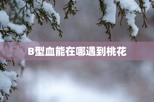 B型血能在哪遇到桃花