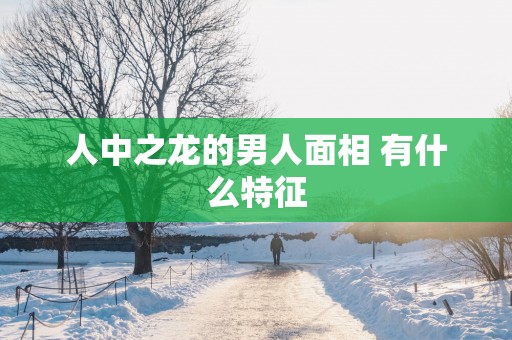 人中之龙的男人面相 有什么特征